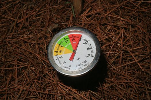 Sustainable Thermometer Companies: 2025 Initiatives